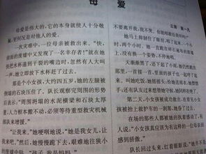 雪中送傘作文開頭