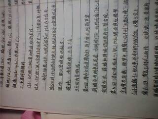 紅樓夢(mèng)讀書報(bào)告(紅樓夢(mèng)讀書心得)