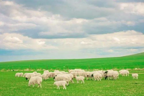 初中最美的風(fēng)景500字作文開頭結(jié)尾