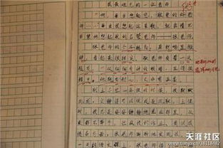 五級(jí)關(guān)于父母抒情作文開(kāi)頭結(jié)尾