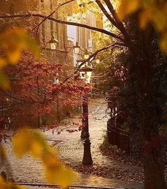 美麗校園的的作文開頭結(jié)尾怎么寫