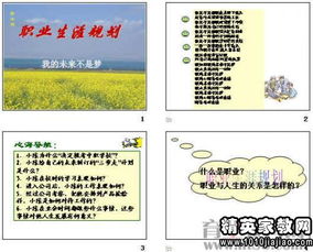 個(gè)人職業(yè)生涯規(guī)劃范文(個(gè)人5年職業(yè)生涯規(guī)劃書(shū)范文)