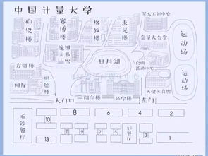 最美的相遇開頭作文