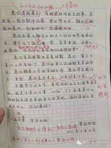 有了愁滋味作文開頭