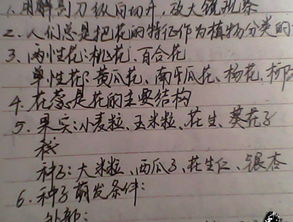 摘抄同學(xué)作文開頭150字