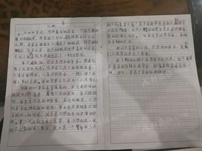 禮物是書的作文600字作文開頭