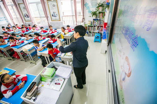 教育培訓學校暑假課外活動方案(教育培訓學校暑假課外活動方案)