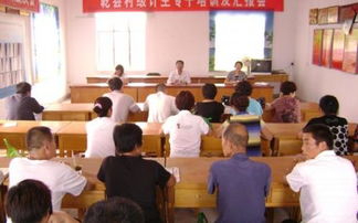 放管服自查報告(放管服自查報告)