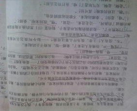 以談歷史開頭的作文開頭