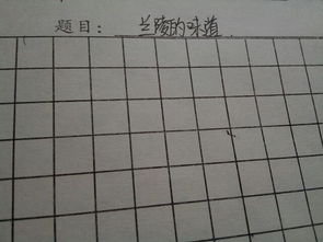 滋味作文300字開頭