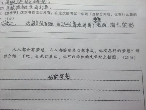 高中作文我的夢(mèng)想開(kāi)頭