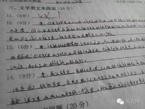 我的偶像是你高分作文600字作文開頭