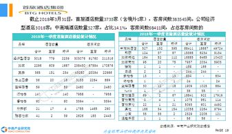 酒店市場調(diào)查報(bào)告(酒店市場調(diào)查報(bào)告)