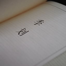 碎片化作文開頭