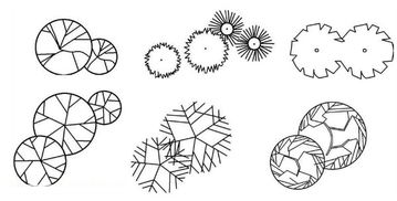園林設計樹木的畫法(園林設計樹木的畫法)