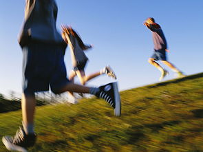 寫夏天的開頭寫景作文