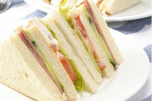 在學(xué)校做三明治的烹飪課作文開頭