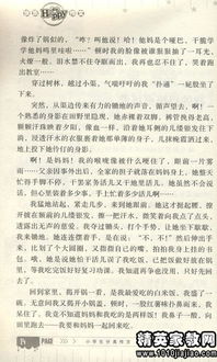 學校運動會的場面的作文開頭