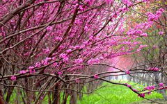 春天公園作文開(kāi)頭