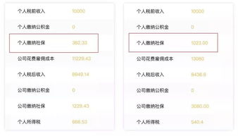 關(guān)于社保的這些信息不能錯(cuò)過(guò)(吃什么對(duì)頭發(fā)好 這些食物不能錯(cuò)過(guò))