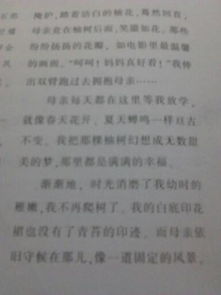 景物描寫開頭親情作文600字