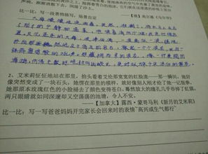 寫大海的開頭作文