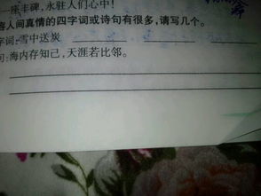 人間真情作文詩句開頭