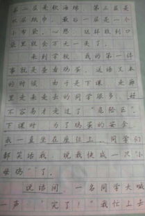 守護(hù)雞蛋小作文開頭