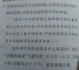 以詩歌形式開頭關于采訪的作文