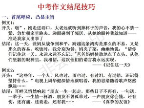 一次活動作文的開頭和結(jié)尾怎么寫