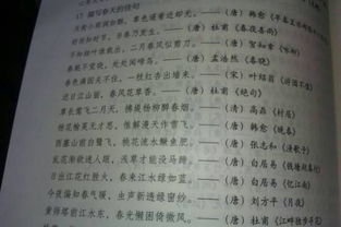 作文,古詩(shī),開(kāi)頭,含有