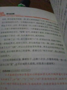 人關(guān)愛動物的作文(人關(guān)愛動物的作文)