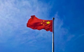 作文,自豪,開(kāi)頭,我為你