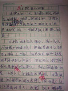 作文,盼望,開頭,學(xué)校