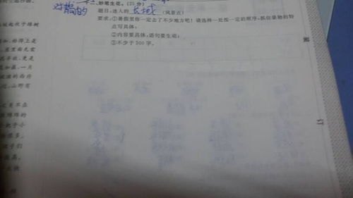 拍皮球作文開頭怎么寫