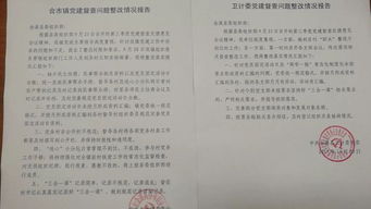 整改落實(shí)情況報(bào)告(黨組整改落實(shí)情況報(bào)告)