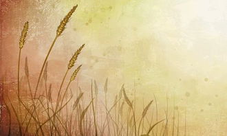 有情調(diào)的作文開頭