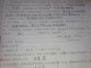 向你介紹老舍作文開(kāi)頭