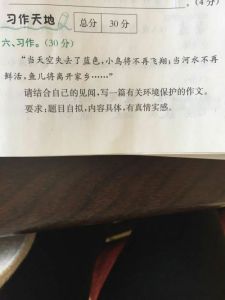 關(guān)注環(huán)境作文開頭