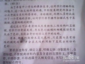 我有一作文開頭結尾怎么寫作文