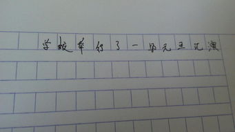 看元旦表演作文開頭