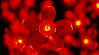 元宵風(fēng)俗的作文的開頭