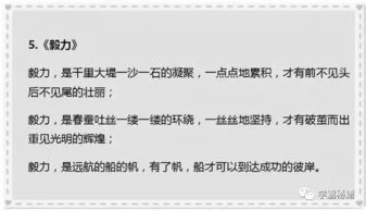 遇見(jiàn)滿分作文開(kāi)頭