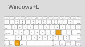 關(guān)于電腦工作者的常識(電腦常識)