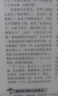 古人眼中的雨作文開頭