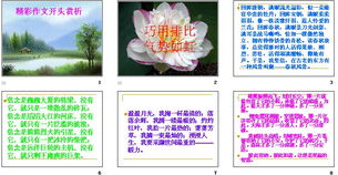 常見作文開頭ppt