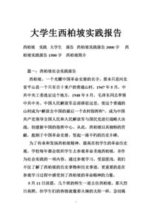 大學(xué)生實(shí)踐報(bào)告總結(jié)范文(大學(xué)生實(shí)踐報(bào)告總結(jié)范文)