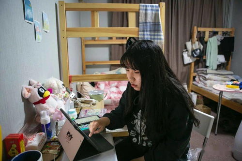 關于春節(jié)軼事話題的作文(春節(jié)軼事作文)