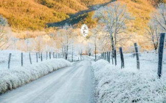 關(guān)于立冬的作文(關(guān)于立冬作文)