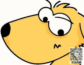 寫狗狗的愛的作文開頭怎么寫